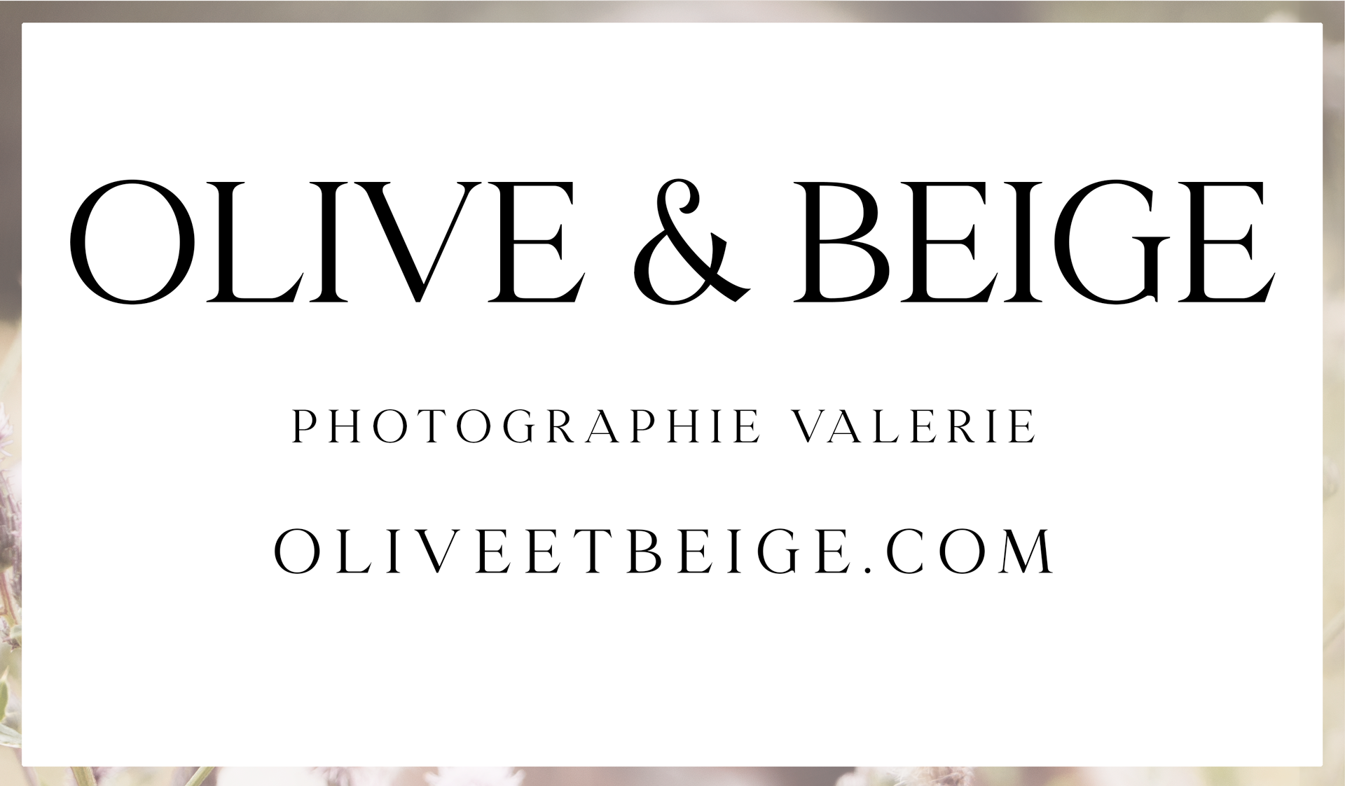 Olive et Beige